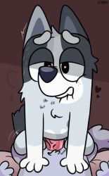 trixie (bluey) from bluey (series)