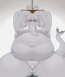 2023 anthro balls belly big_belly blush bound dragon_night800 elephant elephantid eyewear flaccid genitals glasses grey_body hi_res kemono male mammal moobs navel nipples overweight overweight_male penis proboscidean solo