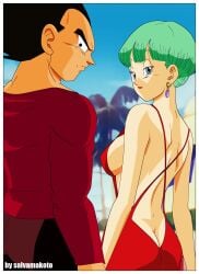 ass ass_cleavage back backside blue_eyes blue_hair bulma bulma_briefs butt_crack dark_hair dragon_ball dragon_ball_z dress red_dress revealing_clothes revealing_dress salvamakoto vegeta