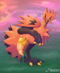 absurd_res avian bagu beak big_feet big_tail bird blush bodily_fluids claws dripping erection feet galarian_form galarian_thunder galarian_zapdos generation_1_pokemon genital_fluids genitals grass hi_res knot leaking_precum legendary_pokemon looking_at_viewer male male_only nintendo orange_body outside penis plant pokemon pokemon_(species) precum precum_drip presenting presenting_penis raised_leg regional_form_(pokemon) simple_background solo solo_male tail talons thunder_(pokemon) toe_claws wings yellow_penis zapdos