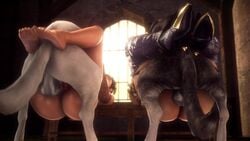 2animals 2girls 3d animal_genitalia animal_penis animated ass bestiality canine canine_on_human canine_penis dog female female_on_feral feral feral_dominating_female feral_dominating_human feral_on_female feral_on_human feral_penetrating final_fantasy final_fantasy_x group_sex interspecies interspecies_sex isabella_valentine leg_lock lulu_(final_fantasy) missionary namco noname55 penis pussy sex shorter_than_10_seconds soul_calibur sound source_filmmaker vaginal video zoophilia