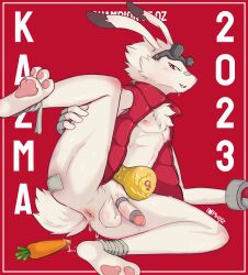 2023 absurd_res anus ass balls bodily_fluids carrot championship_belt chinese_zodiac eyewear eyewear_on_head food fur genital_fluids genitals goggles goggles_on_head hare hi_res humanoid_genitalia humanoid_penis impboyz king_kazma lagomorph leaking_precum leporid male mammal nipples penis plant precum presenting presenting_hindquarters rabbit solo summer_wars tail vegetable white_body white_fur year_of_the_rabbit