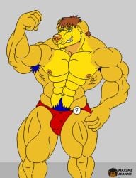 blue_armpit_hair blue_pubic_hair brown_hair fur furries furry green_eyes maxime-jeanne muscle musclefurrydogaaron muscles muscular orange_nipples orange_nose red_speedo sexydogaaron yellow yellow_fur