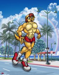 abs beach beach_background brown_hair canine furry green_eyes jogging male_only muscle musclefurrydogaaron muscles pecs red_boxers red_sneakers rimskiy sexydogaaron yellow_fur