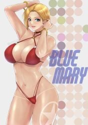 bikini blue_mary fatal_fury king_of_fighters lewd mary panties snk top underwear