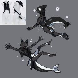 2023 black_body black_fur breasts cheek_tuft cute cute_fang feline female female_only furry furry_only hazel_eyes medium_breasts multiple_poses nulia one_eye_closed orca_hood swimming tarahe tongue underwater water wholesome