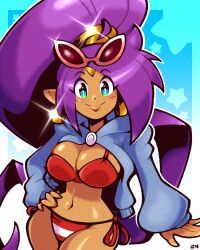 big_breasts blue_eyes breasts bursting_breasts cleavage curvaceous earrings female female_focus female_only gold_jewelry hand_on_hip happy_female large_breasts legendofnerd navel open_sweater purple_hair shantae shantae_(character) summer sunglasses_on_head sweater tan_body thick_thighs thighs tight_bra tight_panties wayforward