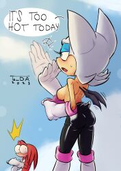 2023 2d 2d_(artwork) 2d_artwork breasts furry knuckles_the_echidna mobian mobian_(species) mobian_bat rouge_the_bat sega sonic_(series) sonic_adventure_2 sonic_team sonic_the_hedgehog_(series) sweat ta_da