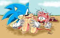 4_toes absurd_res amy_rose anthro ball_gag beach biped blush bound duo feet female foot_fetish foot_focus foot_play gag hi_res male male/female seaside sega skoufidios soles sonic_(series) sonic_the_hedgehog sonic_the_hedgehog_(series) sonic_x tickle_torture tickling tickling_feet toes