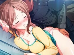 1boy 1girls blush breast_press breasts brown_hair chikan chikan_sen'you_sharyou chikan_senyou_sharyou cleavage closed_eyes game_cg hayasaka_kaori hetero koizumi_amane large_breasts molestation panties public_indecency solo_focus tears underwear