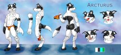 2021 angry anthro arcturus_(astralarcturus) ass balls bedroom_eyes black_body black_ears black_fur black_spots black_tail blue_eyes border_collie bored bulge canid canine canis clothed clothing collie digital_media_(artwork) domestic_dog front_view fur genitals green_eyes half-closed_eyes happy headshot_portrait herding_dog heterochromia leomagna looking_back male mammal model_sheet multicolored_body multicolored_clothing multicolored_fur multicolored_underwear multiple_angles narrowed_eyes orange_clothing orange_underwear partially_clothed pastoral_dog pink_nose portrait rear_view red_clothing red_underwear sad seductive sharp_teeth sheepdog side_view solo spots spotted_body spotted_fur standing tail teeth text tongue tongue_out two_tone_body two_tone_clothing two_tone_fur two_tone_tail two_tone_underwear underwear underwear_down white_body white_fur white_tail