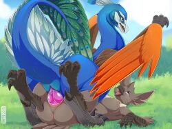 4_toes animal_genitalia anisodactyl anthro anthro_on_feral anthro_penetrated avian avian_feet beak bird breasts claws dinosaur dromaeosaurid duo erection feathered_wings feathers feet female female_penetrated feral feral_penetrating feral_penetrating_anthro fleek_feather galliform genital_slit genitals hi_res knot lying male male/female male_penetrating male_penetrating_female nikkibunn nipples on_back on_ground open_beak open_mouth peacock_feather peafowl penetration penile penile_penetration penis penis_in_pussy phasianid reptile scalie scuted_arms scutes sex slit tail_feathers theropod toes vaginal_penetration vaginal_penetration wings zoophilia