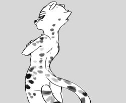 2021 akino_(kemokin_mania) ass breasts cheetah completely_nude_female feline female female_only furry furry_only hiding_breasts kemokin_mania looking_back nude_female simple_background small_breasts spotted_body spotted_fur tail