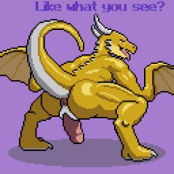 animal_humanoid animated anthro anus ass crouching digital_media_(artwork) dragon dragon_humanoid genitals hi_res horn humanoid inviting male male_only penis pixel_(artwork) pixel_animation presenting presenting_hindquarters raised_tail rear_view reptile scales scalie slit solo solo_male tail text tongue tongue_out u4e wings wyvern yellow_body yellow_scales