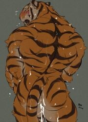 after_sex anthro ass back_muscles blush bodily_fluids cum cum_drip cum_in_ass cum_inside dripping felid fur genital_fluids giraffe_(artist) hi_res lam-chan male male_only mammal muscular muscular_male nude pantherine solo striped_body striped_fur stripes sweat tiger wet