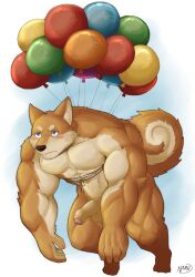 anthro balloon balls canid canine canis domestic_dog genitals inflatable male mammal naruever naruevernett nude penis shiba_inu simple_background solo solo_focus spitz