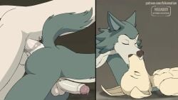 2boys 2d_animation anal anal_juice anal_juice_on_penis anal_sex animated anthro anthro_on_anthro anthro_penetrated anthro_penetrating anthro_penetrating_anthro ass ball_slap balls beastars big_penis bikomation bird_dog black_nose bodily_fluids body_hair bouncing bouncing_ass bouncing_balls bouncing_penis brown_nose canid canine canis cheek_tuft chest_hair close-up closed_eyes collot_(beastars) conditional_dnp deep_kiss digital_media_(artwork) doggy_style domestic_dog dripping duo erection eyebrows faceless_character faceless_male facial_expressions facial_tuft floppy_ears fluffy fluffy_ears fluffy_tail frame_by_frame french_kissing friends from_behind_position fur furry gay genital_fluids genital_fluids_from_penis genital_fluids_on_penis genitals grey_body grey_fur group group_sex hair head_to_head herding_dog hunting_dog jack_(beastars) jiggling_ass kissing labrador leaking_precum legoshi_(beastars) licking looking_pleasured love male male/male male_penetrated male_penetrating male_penetrating_male mammal netflix no_climax nude nude_anthro nude_male old_english_sheepdog open_mouth parallel_sex pastoral_dog penetration penile penile_penetration penis penis_in_ass precum precum_drip precum_on_penis pubes raised_tail retriever room_701 roommate saliva saliva_on_face saliva_string sex shaking sheepdog short_playtime slap standing standing_sex tail tail_motion tailwag thick_penis tongue tongue_out trio tuft white_body white_fur widescreen wolf yaoi yellow_body yellow_fur