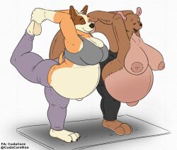 belly big_breasts big_stomach bluey_(series) breasts chilli_heeler clothed clothing cudacore disney feet female furry inverted_nipples kanga mature_female navel nipples outie_navel paws pregnant toes topless winnie_the_pooh_(franchise) yoga