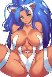 2023 :3 big_breasts blue_hair breasts capcom cat_ears cat_humanoid cute cute_eyes cute_face darkstalkers eyelashes felicia felicia_(darkstalkers) female female_only green_eyes humanoid medium_breasts negresco solo solo_female vampire_savior video_games