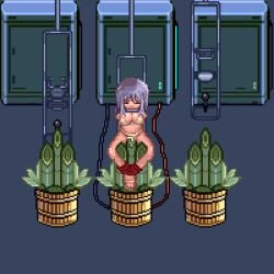 1girls animated bondage breasts dancer_(ragnarok_online) female forced gif kodamatsu_bamboo pixel_animation pixel_art ragnarok_online restrained rodotgif sex_machine vaginal_penetration