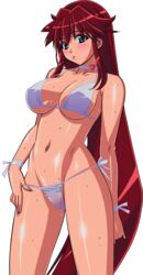 1girls bikini breasts dita_liebely female female_only kuroda_kazuya large_breasts mizugi shitapai solo swimsuit vandread vector_trace wet