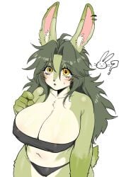 1girls 2023 ? anchovy_(cursedanchovy) big_breasts blush breasts bunny bunny_ears bunny_girl bunny_tail cursedanchovy cute ear_piercing eyebrows eyebrows_visible_through_hair eyelashes female female_only freckles furry furry_only green_body green_fur green_hair huge_breasts inner_ear_fluff lagomorph looking_at_viewer navel nipple_bulge open_mouth panties simple_background species_swap sweat swimwear teeth tongue whiskers white_fur yellow_eyes