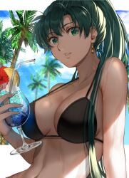 1girls alternate_costume bare_shoulders bikini black_bikini black_swimsuit blue_sky cleavage cloud commentary_request cup cupping_glass day delsaber drink drinking_straw ear_piercing earrings female female_only fire_emblem fire_emblem:_the_blazing_blade food fruit green_eyes green_hair highres holding holding_cup jewelry large_breasts lemon lemon_slice light-skinned_female light_skin long_hair looking_at_viewer lyn_(fire_emblem) navel nintendo palm_tree parted_lips ponytail saber7 sky solo stomach swimsuit upper_body very_long_hair wet