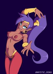 1girls breasts dark-skinned_female mystic_dong purple_hair shantae shantae_(character)