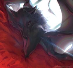 bed bedroom day daytime female female_focus female_only furry furry_only grey_fur grey_hair momobeda morning naked naked_female nude nude_female orange_eyes piercing sleeping wolf wolf_ears wolf_girl wolf_tail