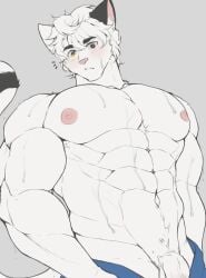 1boy abs bara cat_boy cat_man cat_tail catboy furry furry_male grey_background heterochromia highres jcxraf large_pectorals light_blush looking_at_viewer male_focus motion_lines muscular muscular_male navel nipples original parted_lips pectorals penis_out_of_frame short_hair solo sweatdrop tail white_hair