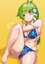 1girls big_breasts bikini blue_bikini blue_bra blue_panties bra clothed clothed_female female female_only frog_hair_ornament green_eyes green_hair hair_ornament kei_jiei kochiya_sanae nipples_visible_through_clothing panties sanae_kochiya scrunchie scrunchie_on_wrist smile snake_hair_ornament solo solo_female touhou yellow_scrunchie