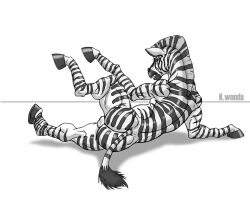 ass backsack balls black-rat black_and_white black_body black_fur blue_eyes equid equine feral fur genitals hooves implied_transformation male mammal monochrome nude simple_background solo solo_male striped_body stripes white_background white_body white_fur zebra