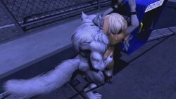 1boy 1girls animal_genitalia animated anthro ass behind breasts bunny doggy duo female fur furry large_ass large_breasts male naked no_sound nude patreon shine shinesl tagme thick_thighs video