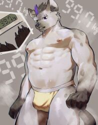 2023 5_fingers abs anthro areola arknights bulge clothed clothing detailed_bulge ear_piercing fingers fur grey_background grey_body grey_fur hi_res hyena hypergryph jockstrap jockstrap_only looking_down male male_only mammal muscular muscular_anthro muscular_male piercing pluto08010511 pu94_d1de4c simple_background solo spot_(arknights) spots spotted_body spotted_fur spotted_hyena studio_montagne topless underwear underwear_only weighing_scale