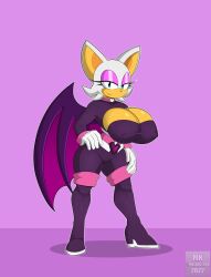 big_breasts clothed female female_only huge_breasts mklancer00 nipples_visible_through_clothing rouge_the_bat rouge_the_bat_(heroes) sonic_(series) sonic_heroes