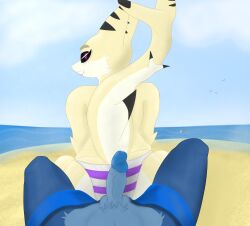 1girls 1male anthro beach blue_skin furry kaiju kaiju_(kaiju_paradise) kaiju_paradise lemon_shork_(kaiju_paradise) panties purple_eyes shark shorks_(kaiju_paradise)