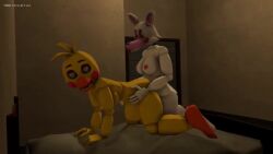 1futa 1girls 3d animated anthro cum_in_pussy cum_inside dickgirl five_nights_at_freddy's five_nights_at_freddy's_2 fnafpornartist futa_on_female futanari gynomorph intersex mangle_(fnaf) no_sound tagme toy_chica_(fnaf) video