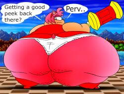 1girls amy_rose anthro ass back_view cellulite dress english_text fat female female_focus female_only furry hairband hedgehog hedgehog_humanoid hips hyper hyper_ass large_ass looking_back looking_back_at_viewer obese obese_female overweight overweight_female panties piko_piko_hammer pink_fur pink_hair robot001 sega sonic_(series) sonic_the_hedgehog_(series) text thick_thighs thighs underwear wardrobe_malfunction what wide_hips