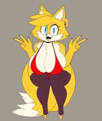 1girls anthro belly_button berkthejerk big_breasts blue_eyes blush bra breasts earrings fat female female_only fox fox_ears fox_girl fox_tail furry furry_female rule_63 sega sonic_(series) sonic_the_hedgehog_(series) tails tailsko