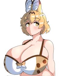 1girls animal_ears bikini blonde_hair breasts cleavage collarbone huge_breasts kemono kemono_friends serval_(kemono_friends) solo solo_female