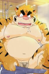 1boy 2023 anthro balls belly big_belly blush bodily_fluids censored felid flaccid genitals hi_res kemono male male_only mammal micropenis moobs navel nipples overweight overweight_male pantherine penis pink_nose shibatanukiti small_penis solo solo_male tears tiger