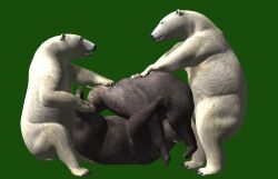 1691_position 69_position ambiguous_gender bear brown_bear fellatio feral foot_grab foursome green_screen group group_sex hand_on_head male male/male mammal mid3dposts oral penile polar_bear sex simple_background ursine