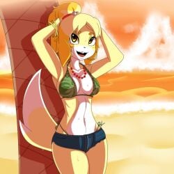 animal_crossing anthro armpits beach bikini_bottom bikini_top breasts canine cleavage dalley_le_alpha dog_girl female female_focus female_only furry hoop_earrings isabelle_(animal_crossing) jean_shorts nintendo thighs