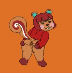 animal_crossing anthro anus ass ass_up bottomless buckteeth butt_focus butt_grab clothed clothing digital_media_(artwork) eyebrows female fur genitals hair hand_on_butt hazel_(animal_crossing) hi_res humanoid looking_at_viewer looking_back mammal mostly_nude multicolored_body multicolored_fur nintendo orange_body orange_fur pixel_(artwork) presenting presenting_anus presenting_hindquarters presenting_pussy pussy raised_tail rear_view red_body red_fur red_hair rodent sciurid shirt shirt_up simple_background smile smiling_at_viewer smug smug_face solo solo_focus spread_butt spreading stretched_anus tail teeth topwear toridiaz tree_squirrel unibrow white_body white_fur