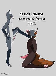 absurd_res anthro blindfold bondage canid canine canis coyote daddydohn domestic_cat domestic_dog dominant dominant_male duo felid feline felis hi_res hood hybrid male male/male mammal submissive submissive_male