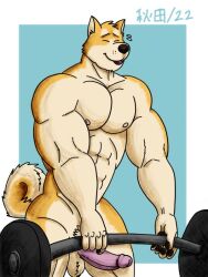 abs anthro balls barbell bodily_fluids canid canine canis casual_erection casual_nudity closed_eyes deadlift deltoids domestic_dog erection fur genitals habuwolfdog humanoid_genitalia humanoid_hands humanoid_penis male male_only mammal manly muscular muscular_anthro muscular_male nipples nude pecs penis shiba_inu simple_background solo solo_focus spitz sweat sweatdrop