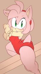 amy rose from sega by argento