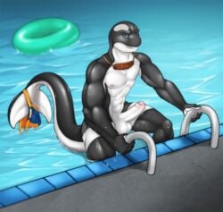 1boy abs akamai anthro biceps cetacean erection getting_out_of_pool humanoid_penis looking_at_viewer male male_only mammal marine muscles nude orca penis pool precum solo testicles tojo_the_thief uncensored uncut water wet whale