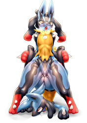 2girls anthro bamia drooling female leg_grab lucario mega_evolution mega_lucario multiple_girls nintendo open_mouth penetration piledriver_position plain_background pokemon pokemon_(species) pussy_juice red_eyes saliva sex sweat tears thick_thighs video_games white_background wide_hips yellow_eyes yuri