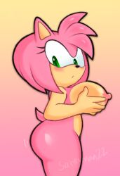 1girls amy_rose blush breasts female furry holding_breast nude nude_female saiyaman22 sonic_(series)